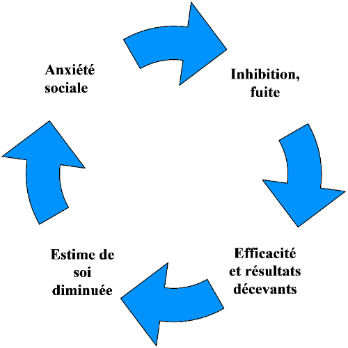cercle v 3